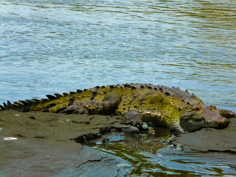 Corcovado National Park, Osa Peninsula, Costa Rica