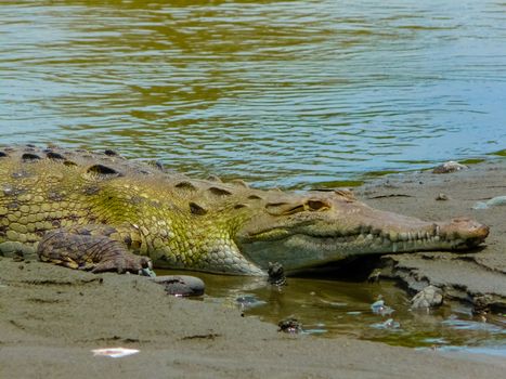 Corcovado National Park, Osa Peninsula, Costa Rica