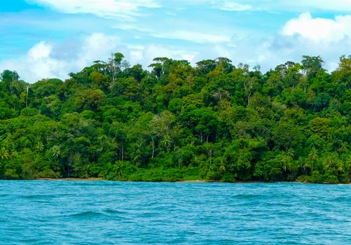 Corcovado National Park, Osa Peninsula, Costa Rica