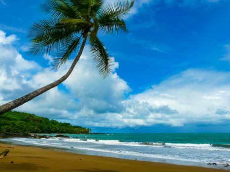 Corcovado National Park, Osa Peninsula, Costa Rica