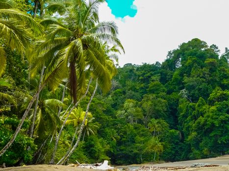 Corcovado National Park, Osa Peninsula, Costa Rica