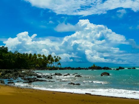 Corcovado National Park, Osa Peninsula, Costa Rica