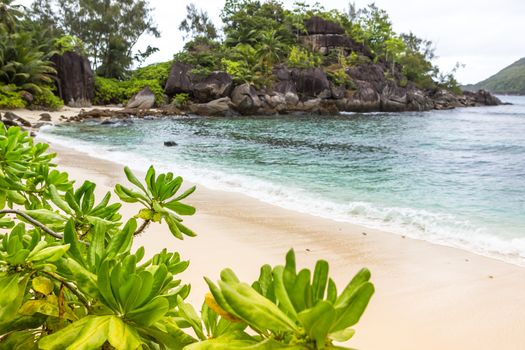 Beautiful beach at Seychelles, Mahe