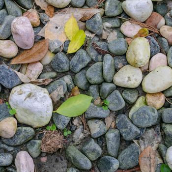 The clouse up of nature gravel stones background in forest hill.