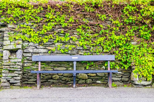 Modern bench against leaf wall in Sedbergh Yorkshire