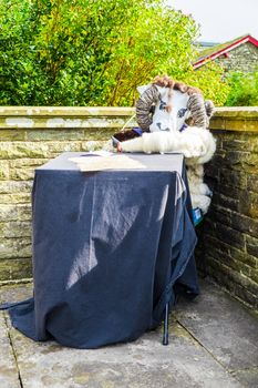 Sheep Scarcrow Festivalin the town of Sedbergh