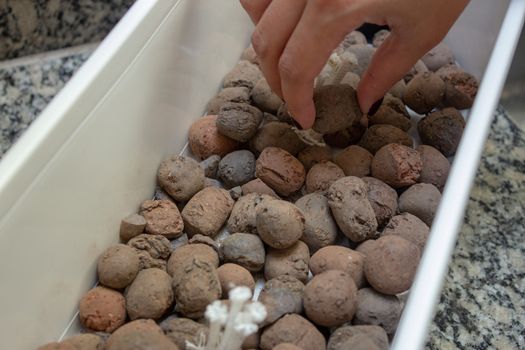 Woman handling expanded clay on a flower pot preparing for planting herbs