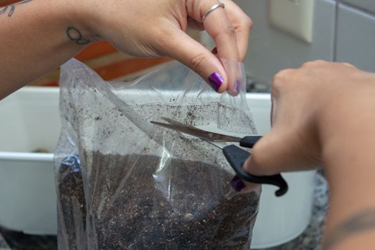 Woman cutting a soil bag with scissors while planting some herbs at home