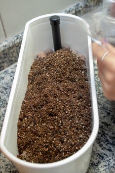 Woman handling soil on a plastic flowerpot while planting some herbs at home