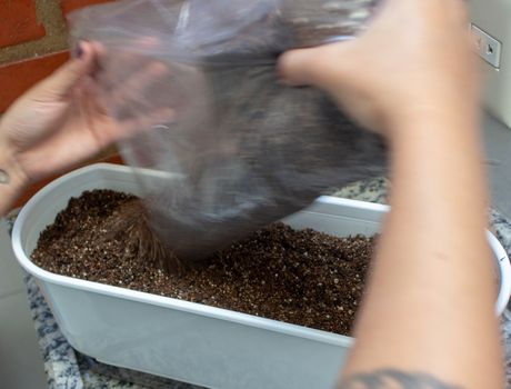 Woman handling soil on a plastic flowerpot while planting some herbs at home