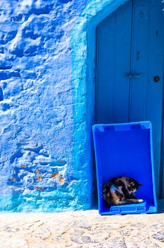 Chefchaouen blue town street in Morocco