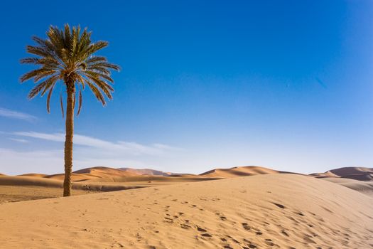 Merzouga in the Sahara Desert in Morocco