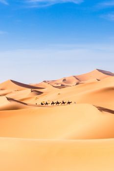 Merzouga in the Sahara Desert in Morocco