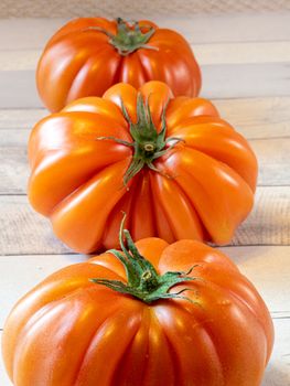 three tomatoes in a row on light table