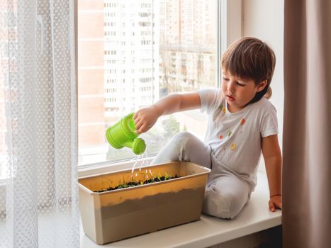 Toddler boy sits on windowsill and waters small green seedlings. Little child with green watering can. Kid's first first duties at home.