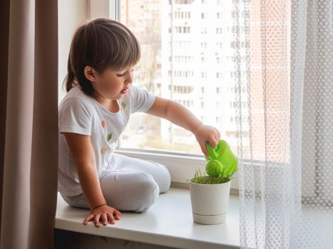 Toddler boy sits on windowsill and waters green grass in flower pot. Little child with green watering can. Kid's first first duties at home.