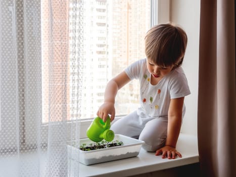 Toddler boy sits on windowsill and waters small green seedlings of basil. Little child with green watering can. Kid's first first duties at home.