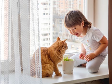 Toddler boy sits on windowsill and feeds cute ginger cat with green grass from flower pot. Little child with fluffy pet. Specially grown plant for domestic animal.