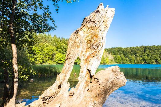 Plitvice Lakes, Croatia Waterfall. Amazing Place.