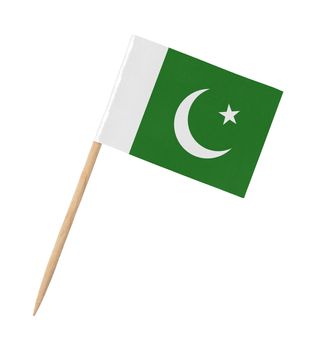 Small paper flag of Pakistan on wooden stick, isolated on white