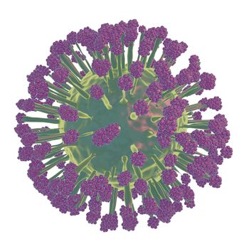 3d illustration of coronavirus on white background