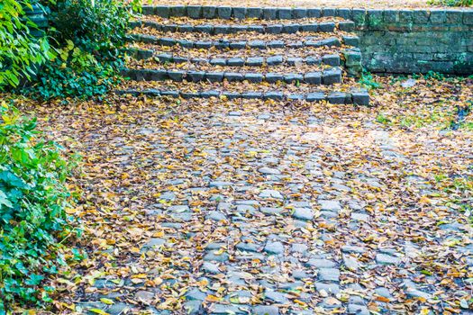 Stone stair path through fall colored trees.