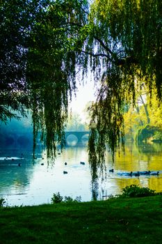 Belgium Bruges Minnewater park and walks in Bruges, Belgium