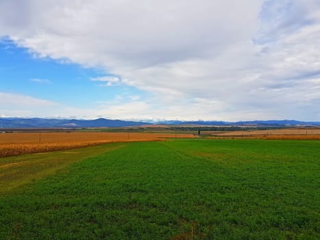 Green and cereal fields and the mountains as background in the summer.
