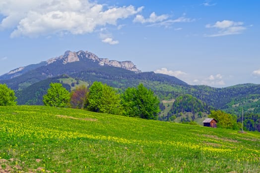 Spring mountain forest panorama with rocky Ceahlau massif and blue sky.