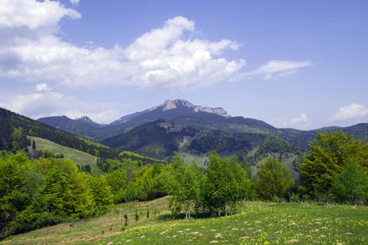 Green forest panorama, stony Ceahlau mountain and the blue sky.