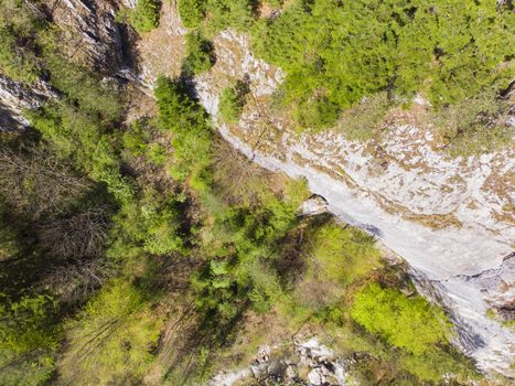 View from above of a rocky wall with some pines in the spring