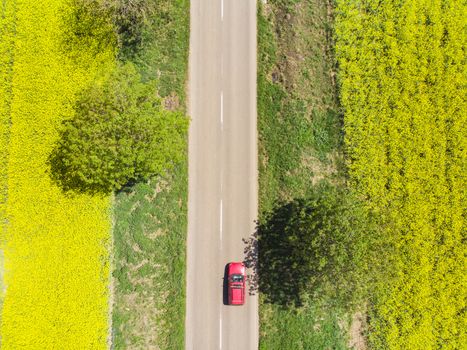 Above view of a red car driving on road between yellow rape field