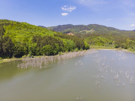 Natural dam lake in Romania, aerial view. In 1991 a major landslide blocked the Cuejdel brook and a larger lake was formed.