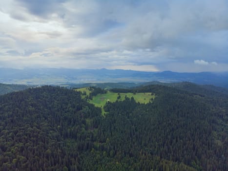 Aerial view of green fir forest. Drone view in a mountain pass to valley in Romania