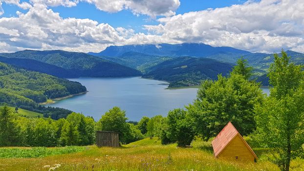 Summer landscape: lake and green forest, huts and a meadow