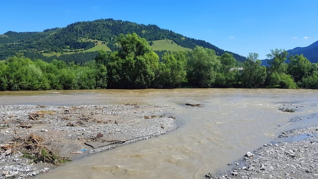 River valley after summer flooding: debris and dead trees