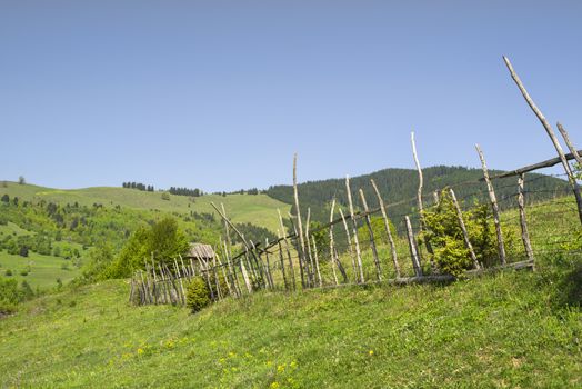 Fence in rural landscape, spring green