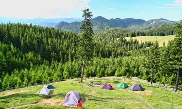Forest camping in the mountains. Beautiful landscape in front of tents