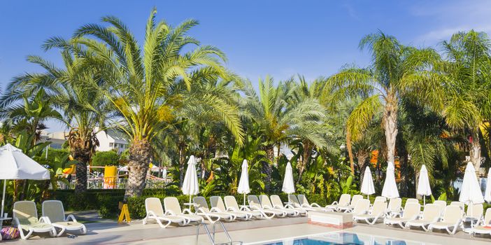 Holiday summer resort on mediterranean beach: swimming pool  and palms in the garden