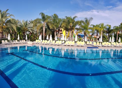 Summer poolside with palm trees and water park