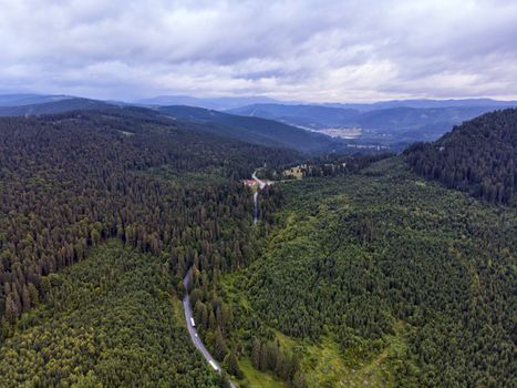 Highway road through green forest, drone view from above