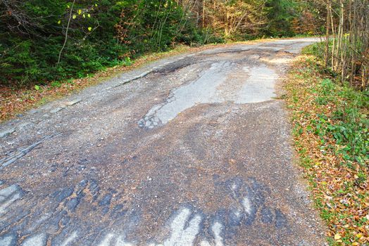 Cracked asphalt on a mountain road through forest