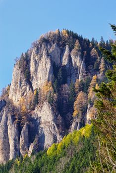 Autumn scenery of rocky mountain, pines on the rocks