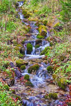 Water fresh stream in summer forest scene