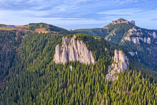 Rocks in sunset colors and evergreen forest, rocky mountain