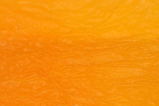 Dried Yellow Apricot Texture. Warm Nature Organic Background. Macro Closeup.