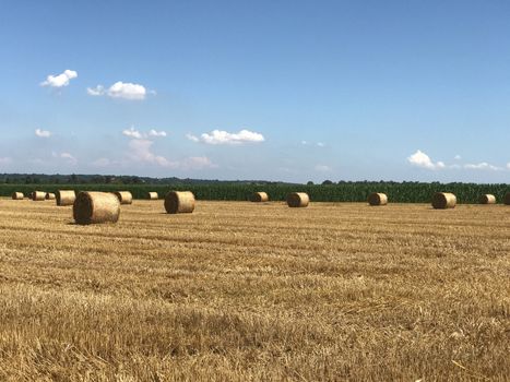 Country landscape with hay bales
