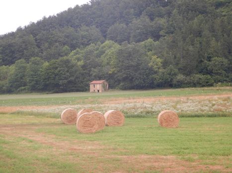 Country landscape with hay bales