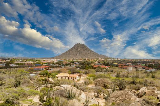 Arid and Dry desert with cactus and native plants