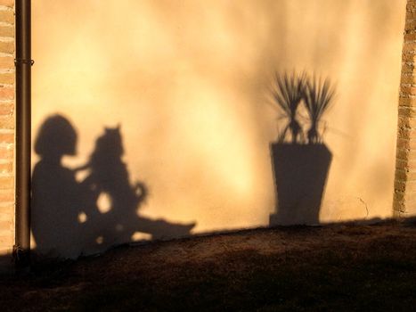 On a wall a woman's shadows with a dog